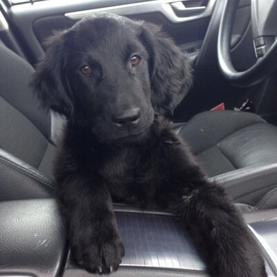 sweetndiscret's profile picture. 