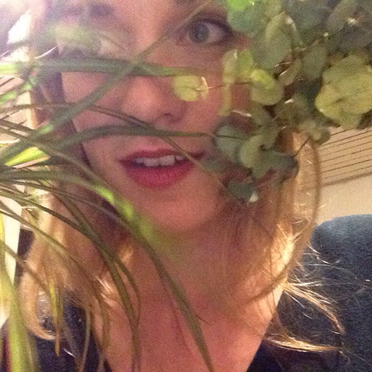 CVanRijckeghem's profile picture. 