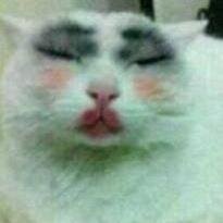 amymoybeau's profile picture. 