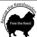 Holly Morin - @hollykees - Twitter