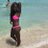 Ms_Snoopy's profile image