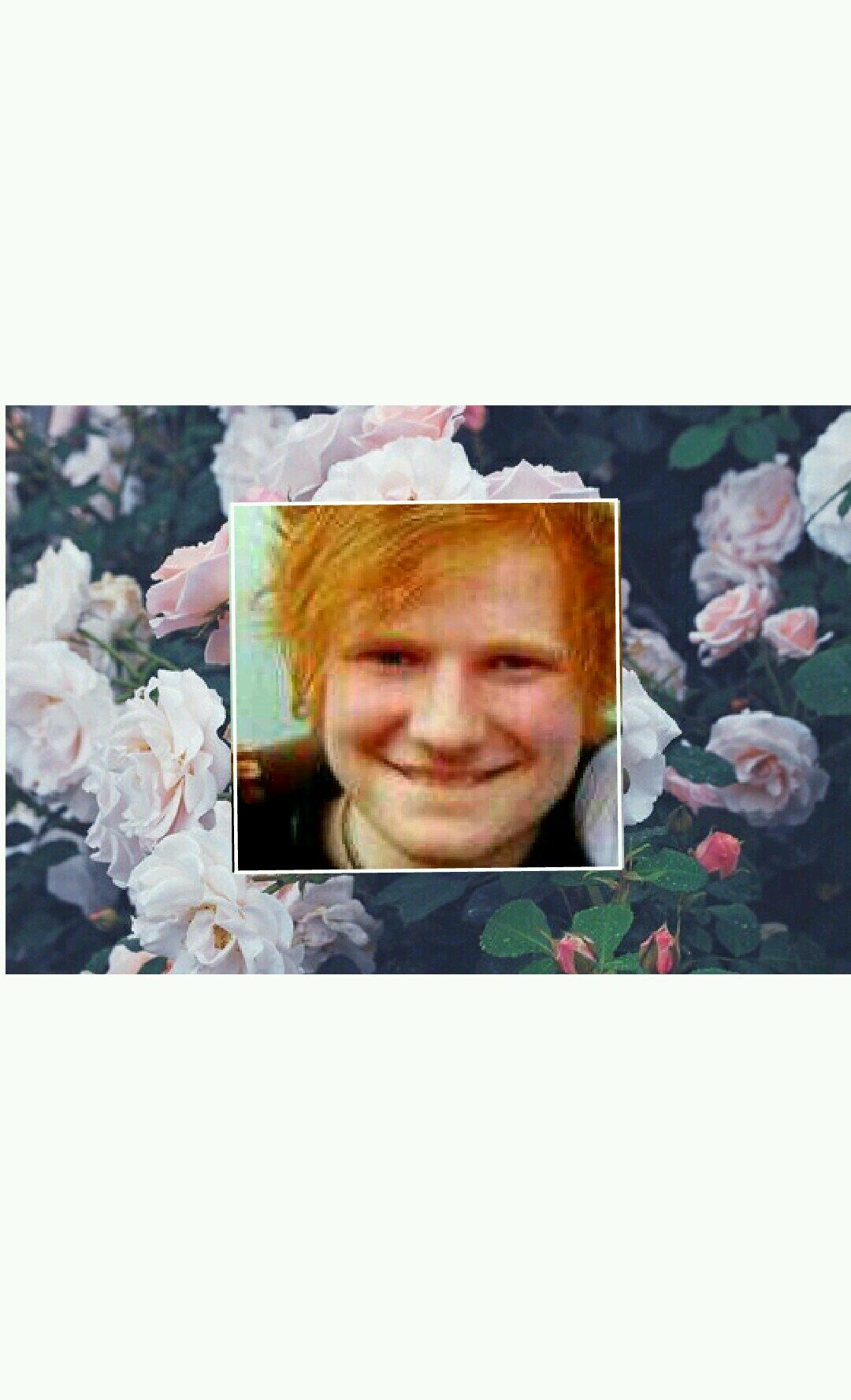cauzisheeran's profile picture. 
