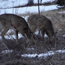 Marcel Lapierre - @MarcelMlap49 - Twitter