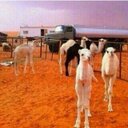 ابــــو عـــــثـمـان (@236fea66) Twitter