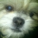 Sandy Henry - @sandyhen1024 - Twitter