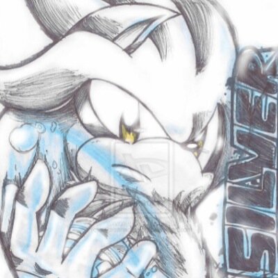 I am the hedgehog thats saving time i have powers that u can imagine i save people from the future i am silver #teamfuture #taken: @amyroses51 #funny