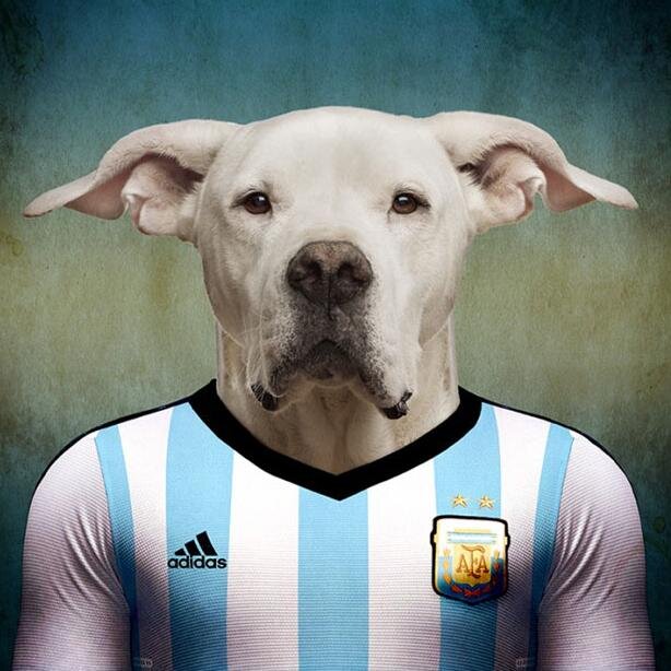 Y... que se yo, estoy re loco!