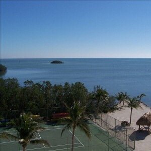 tennismoneyball's profile picture. the constant cat and mouse game of keeping accounts.. DMs open for partnerships