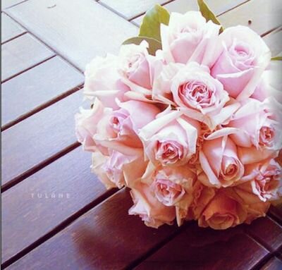 ﻛــﻞ ﻣــﺎ ﻓــﻰ ﺣﻴــﺎﺗﻨــﺎ ﻫــﻮ ﺍﺧﺘﻴـﺎﺭ ﺍﻟﻠﻪ ﻟــﻨـﺎ ﻭ ﻣـﻬـﻤـﺎ ﺑـﺤـﺜـﻨـﺎ ﻟـــﻦ ﻧﺠــــﺪ ﺃﻓـﻀـــﻞ ﻣـــﻦ ﺍﺧﺘﻴــــﺎﺭ ﺍﻟﻠﻪ... ♡