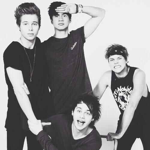 follow @hemmospenguinnx and she'll follow you back or lose this follow