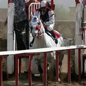 9_panuco's profile picture. 