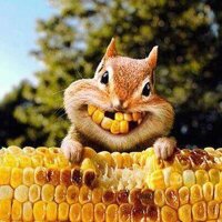 Hof65 (@jeffmaierhofer) 's Twitter Profile