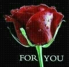 ladybrenj's profile picture. 