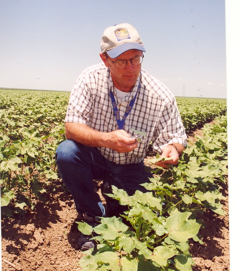 Univ Calif Cooperative Extension Advisor, IPM, entomology, insect pest control,  Field Crops, vegetables, San Joaquin Valley