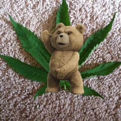 Ryan_0490's profile picture. 