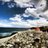 p_viers's profile image