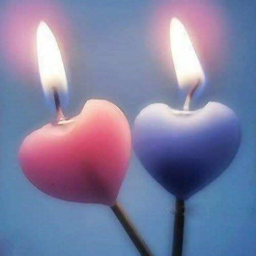 Love makes all perfect  Love makes all freedom  Love makes all happens  Love makes all creativity  Love makes all ♥♥♥♥♥♥  love for all all for love