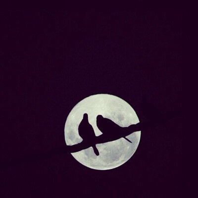 احب التصوير ، كل يومياتي تلاقونها هنآhttp://t.co/uU7K8UBUkg                                    الي يبي يسأل هنآhttp://t.co/PPKtLhCnRr     ❤️