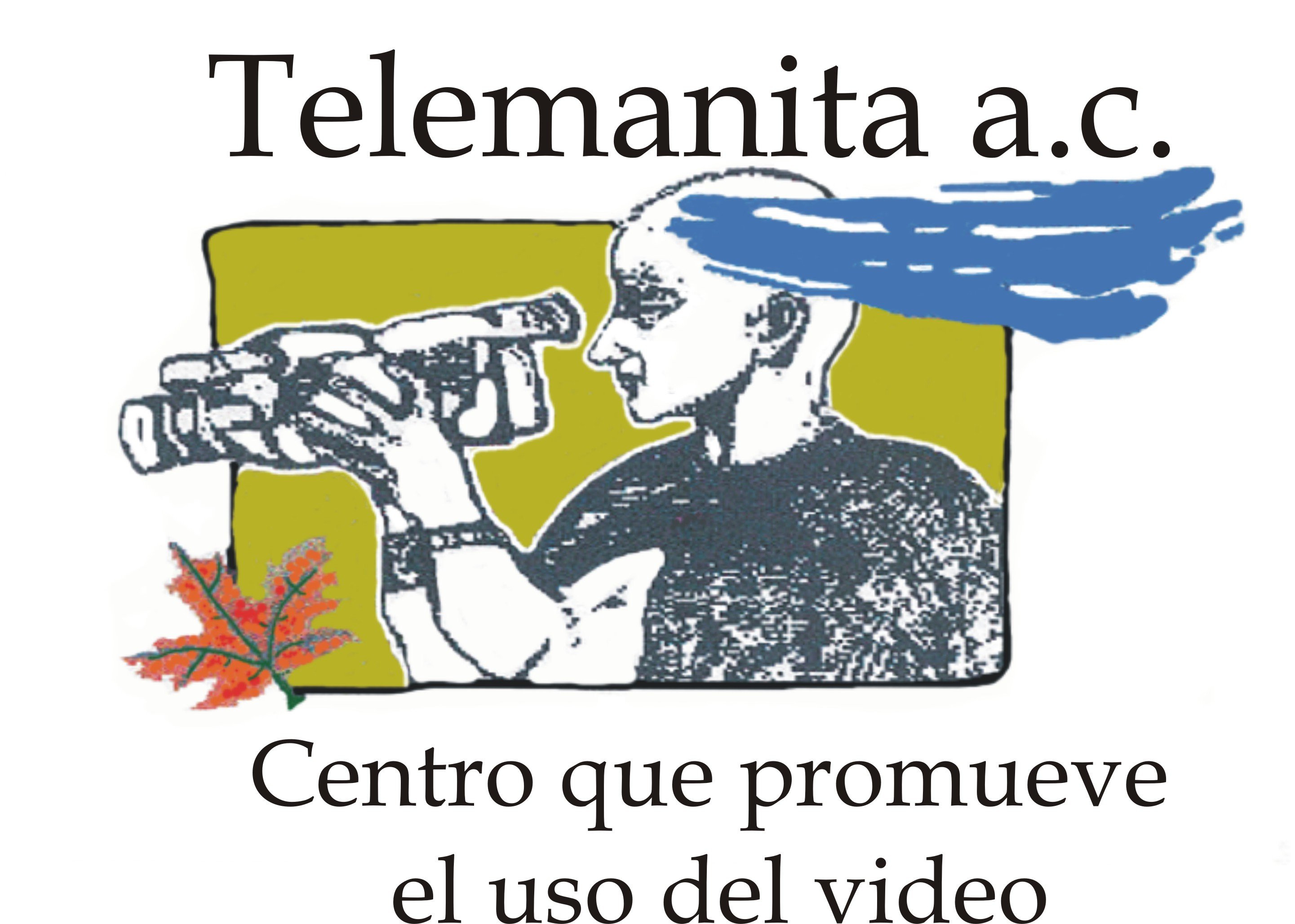 Activismo, feminismo, arte y cultura usando el video participativo