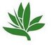 Rainforest Design® (@rainforestdesig) Twitter profile photo Rainforest Design® (@rainforestdesig) Twitter profile photo