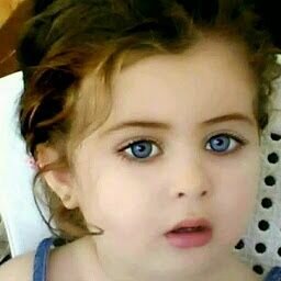 ضيفني اضيفك خلال 24ساعه