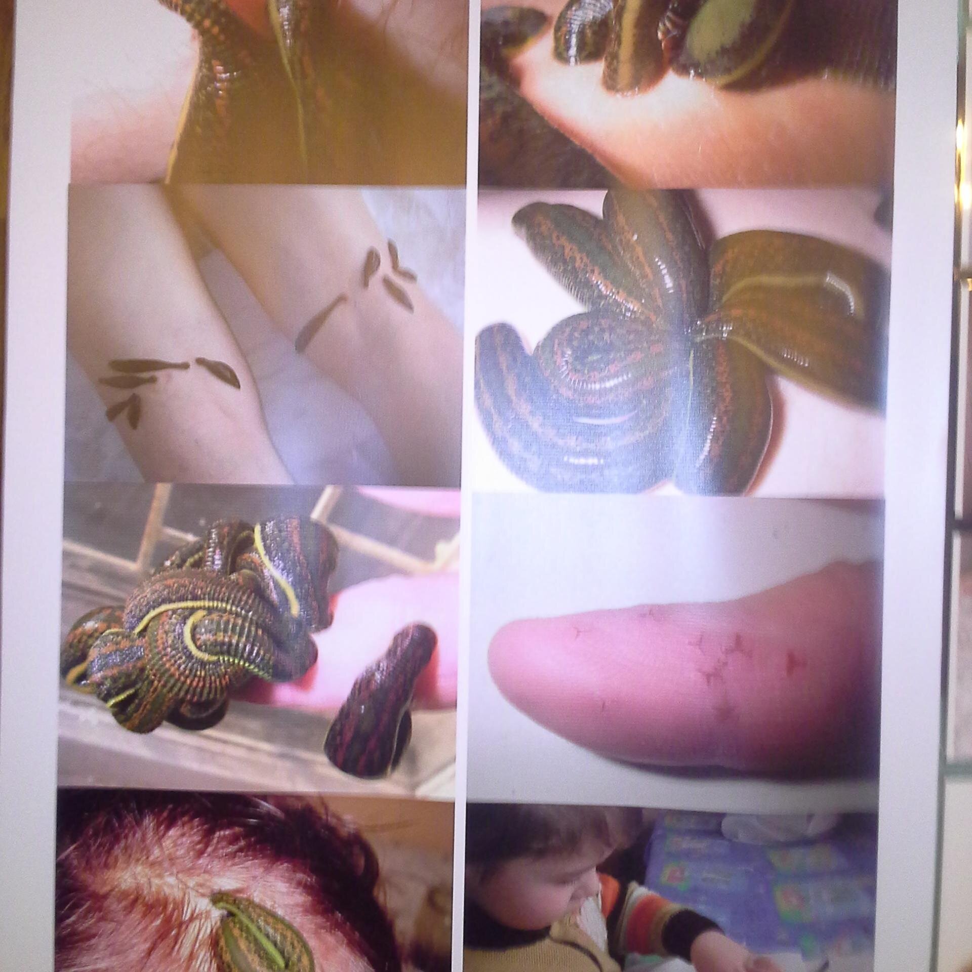 piyavkina7's profile picture. http://t.co/4GljHVzvOp    гемосканирование