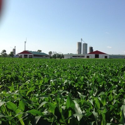 SW Ontario Dairy Farm. Milk, Corn, Soys and Wheat!
I am living the Dream!