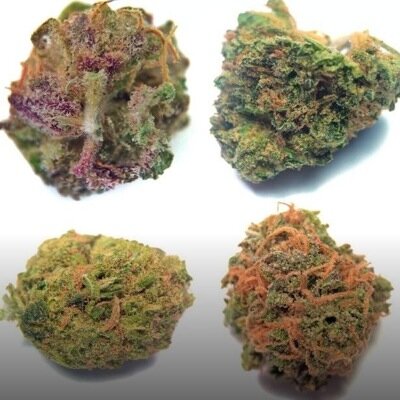 #stonernation