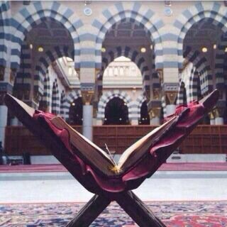 zozh880's profile picture. 