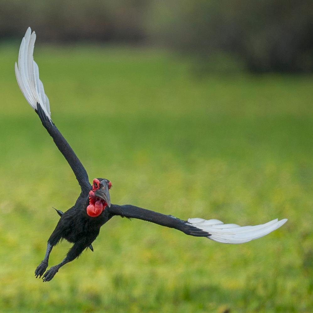 rjrossphoto's profile picture. Freelance Photographer