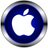 Apple Inc.