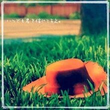 すぐに連絡先聞いたりラインしよう的なのムリです(´･_･`)いきなり会おうとかありえない(´･_･`)信頼出来て、もっと仲良くなりたいと思えたら連絡先交換したいです(*´ｰ｀)気…