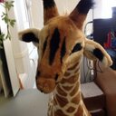 Gordon - @gordonCardinalH - Twitter