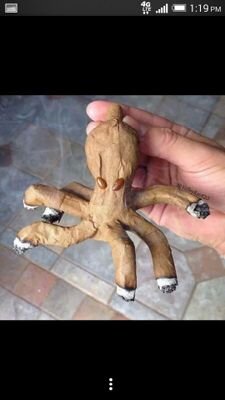 Luckyloo420's profile picture. pothead