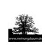 Meinungsbaum (@meinungsbaum) Twitter profile photo Meinungsbaum (@meinungsbaum) Twitter profile photo
