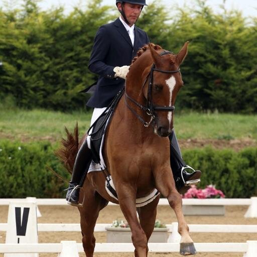 International Dressage Rider and Trainer. Teaches all levels up to Grand Prix. Based in the Cotswolds, UK.