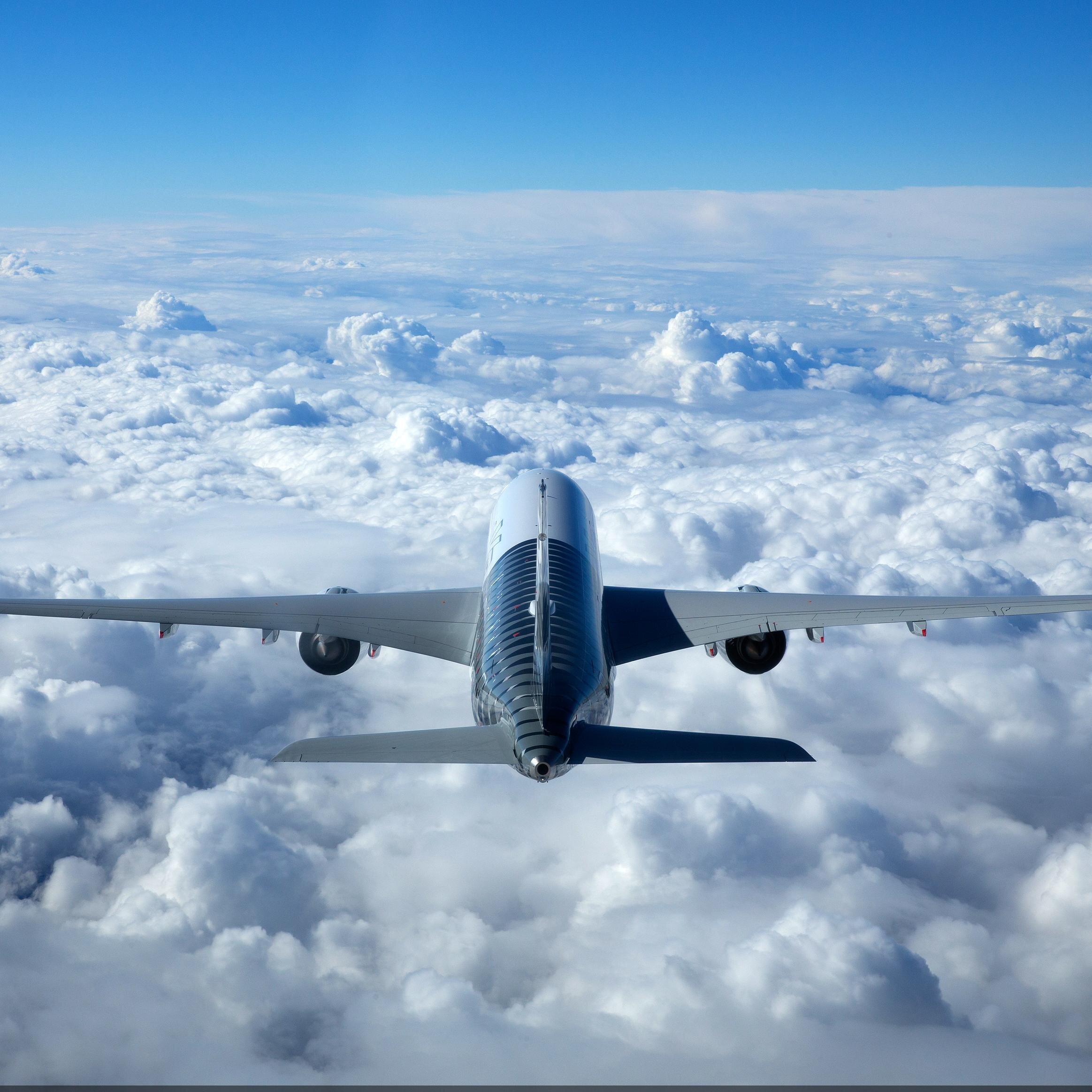 RaphSPQR's profile picture. 