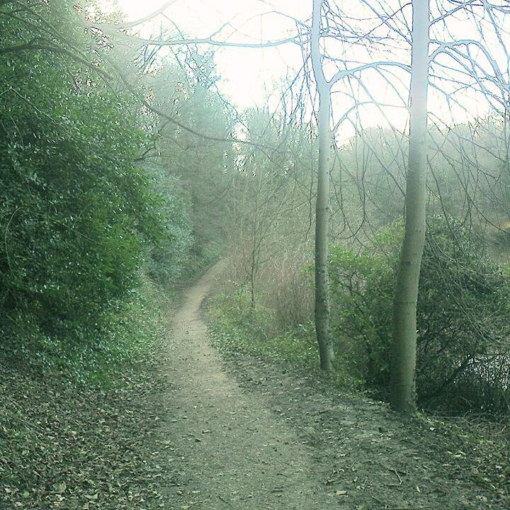 SanctuaryReiki's profile picture. A sanctuary for you to recharge, unwind, & find your inner peace. Find out what Reiki can do 4 U! https://t.co/t6hsGuqqS8 
Call Kirsty on 0757 2029035