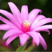 claire sutton (@clairesutton13) 's Twitter Profile