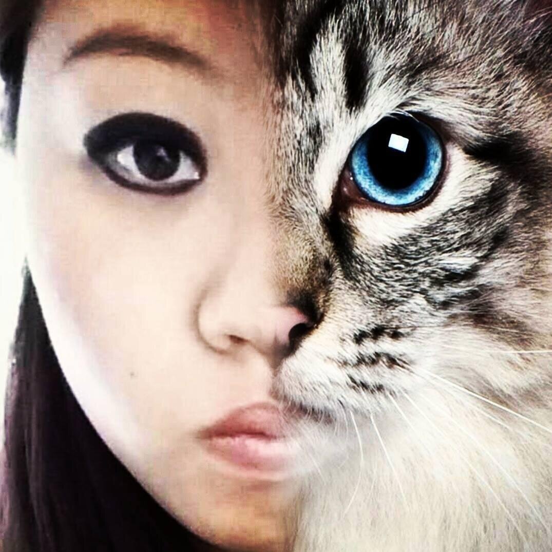 Video Editor • Twitch Affiliate Streamer • DMV • *~ΑΨΩ~* • Twitch's resident Sad Kat •