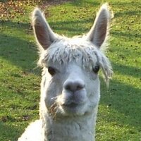 Richard Tupholme (@rtupholme) 's Twitter Profile Photo