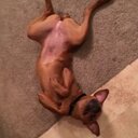 Derek Chalfant - @dchalfant99 - Twitter