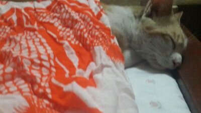 Batawil7's profile picture. 