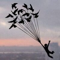 gulsbilge (@gulsbilge) 's Twitter Profile