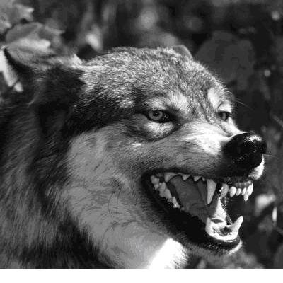 may2283's profile picture. Fanático del Club de Gimnasia y Esgrima La Plata, enfermo del fútbol, Admirador del Barcelona y sobre todo de Messi