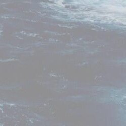 NEEDTOBETHlN's profile picture. CW: 150 (post recovery) GW1: 145 GW2: 140 GW3: 130 GW4: 120 UGW: 105