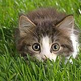 welchk99's profile picture. 