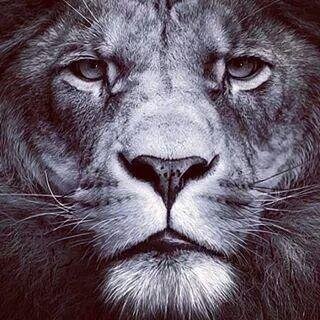 General_pain1's profile picture. 