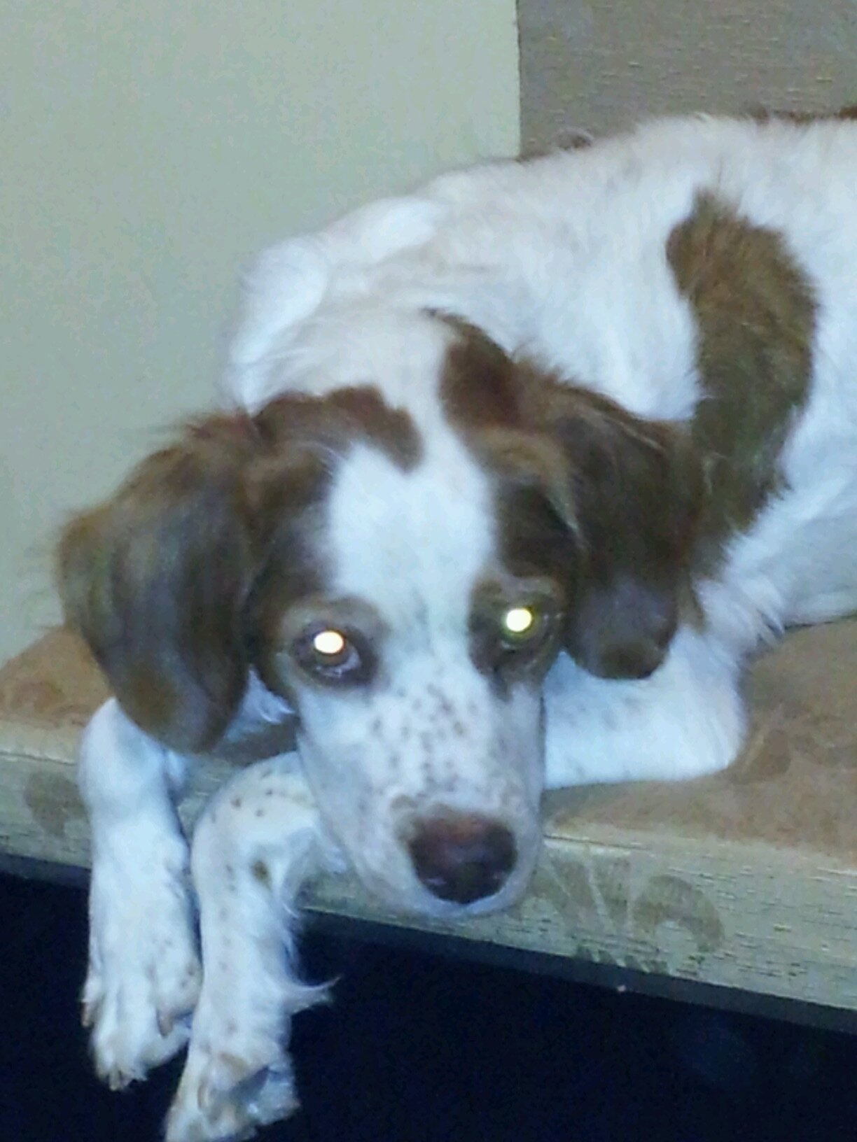 rpcarignano's profile picture. 