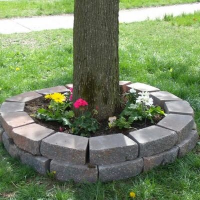 barb4squires's profile picture. 